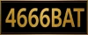 logo 4666 BAT